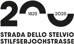 logo stelvio
