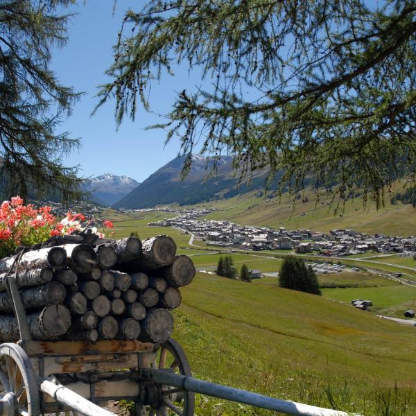 livigno in alta valtellina